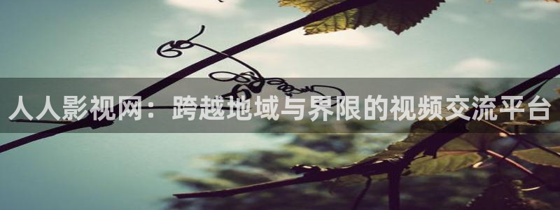 精品日韩欧美影院：人人影视网：跨越地域与界限的视频交流平台
