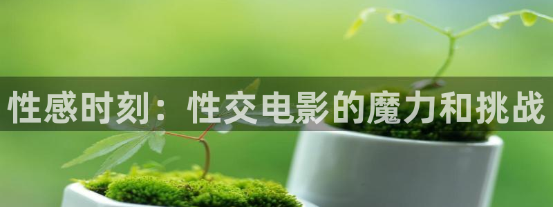 激情欧美影院在线观看：性感时刻：性交电影的魔力和挑战