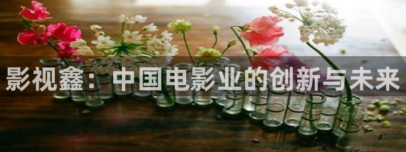 激情欧美影院在线观看：影视鑫：中国电影业的创新与未来
