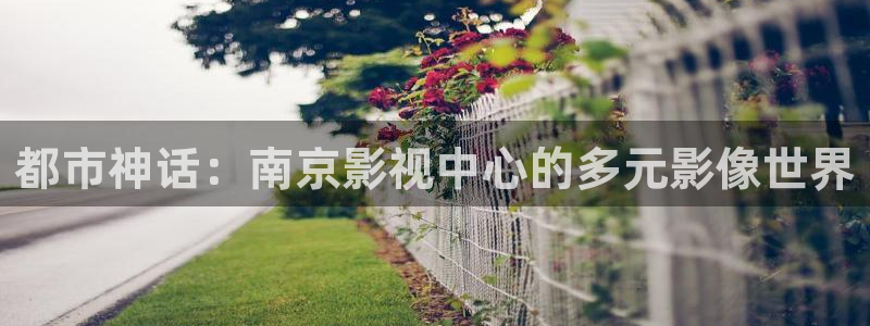 操欧美影院：都市神话：南京影视中心的多元影像世界