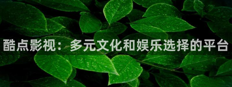 啊啊啊欧美影院：酷点影视：多元文化和娱乐选择的平台