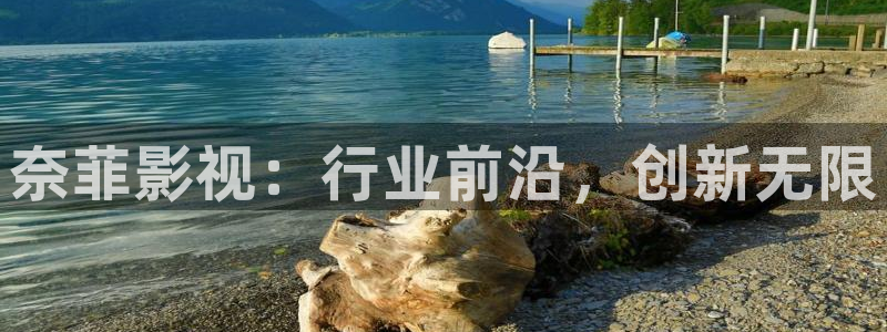 欧美影院首页在线播放：奈菲影视：行业前沿，创新无限