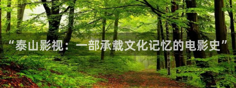 国产成人欧美影院：“泰山影视：一部承载文化记忆的电影史”