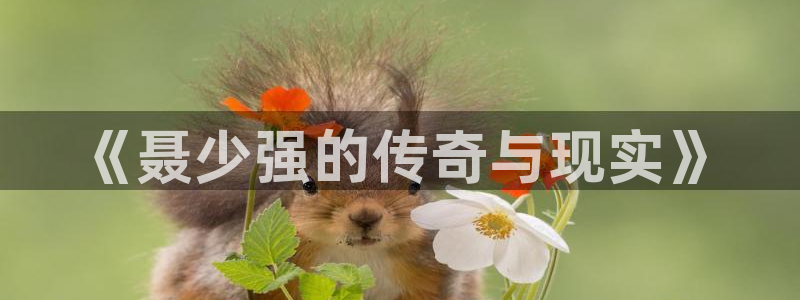 优优色欧美影院首页：《聂少强的传奇与现实》